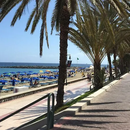 Beachfront Americas - Trg *