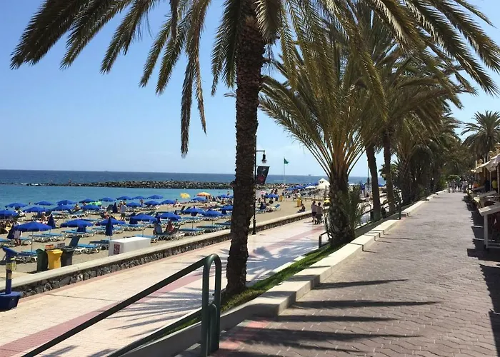 Beachfront Americas - Trg *